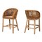 Baxton Studio Mario Modern Bohemian Natural Brown Finished Teak Wood and Rattan 2-Piece Counter Stool Set 232-2PC-13250-ZORO - alternate 1